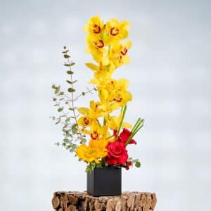 Rustic Beauty with Red Roses, Cymbidium, and Sunflowers