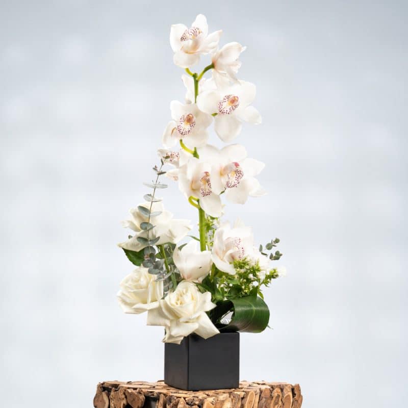 Ivory Bliss: White Orchids & Roses with Fresh Eucalyptus