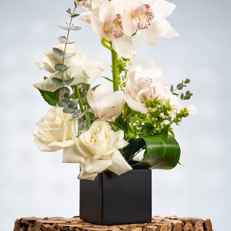 Ivory Bliss: White Orchids & Roses with Fresh Eucalyptus