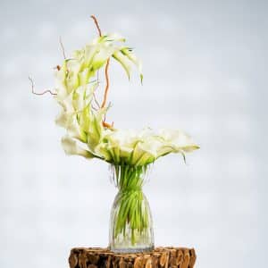 Ivory Grace: Calla Lilies & Golden Salix in Glass