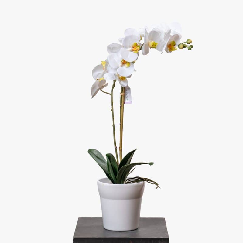 Artificial Phalaenopsis in Elegant Pot