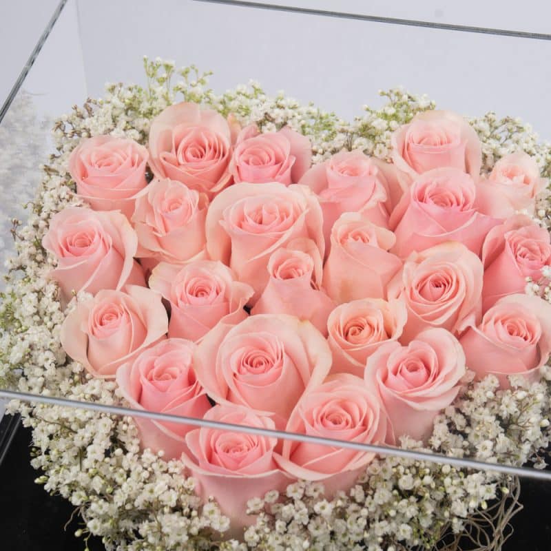 Sweet Harmony: Gypsophila & Pink Roses with Premium Chocolate