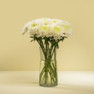 The Chrysanthemum Charm