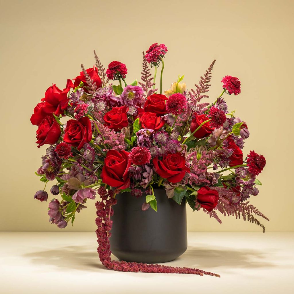 The Meaning of Roses 25 The Meaning of Roses