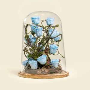 Preserved Roses in Wooden Base