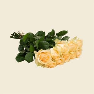 10 Peach Roses Bunch