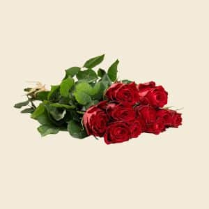 10 Red Roses Bunch