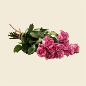 10 Dark Pink Roses
