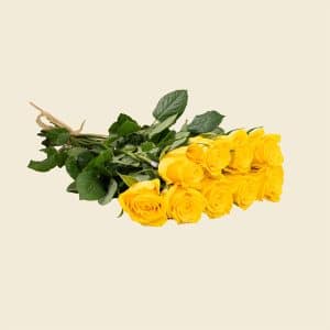 10 Yellow Pink Roses Bunch