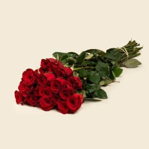 Home 15 25 Red Roses Bunch