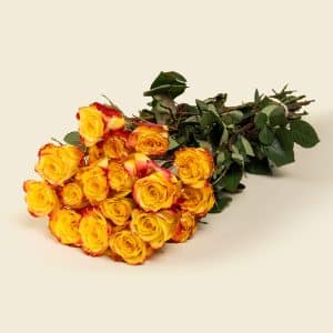 Home 17 25 Yellow with Red Roses Bunch