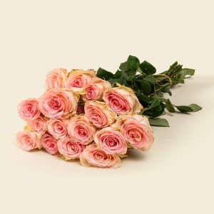 Home 14 25 Light Pink with Pale Peach Roses Bunch