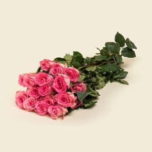 Home 21 25 Light Pink Roses Bunch