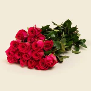 25 Deep Pink Roses Bunch