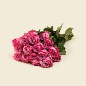 Home 20 25 Deep Purple Roses Bunch