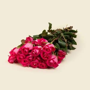 Home 18 25 Fuchsia Roses Bunch